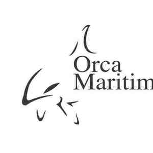 Team Orca